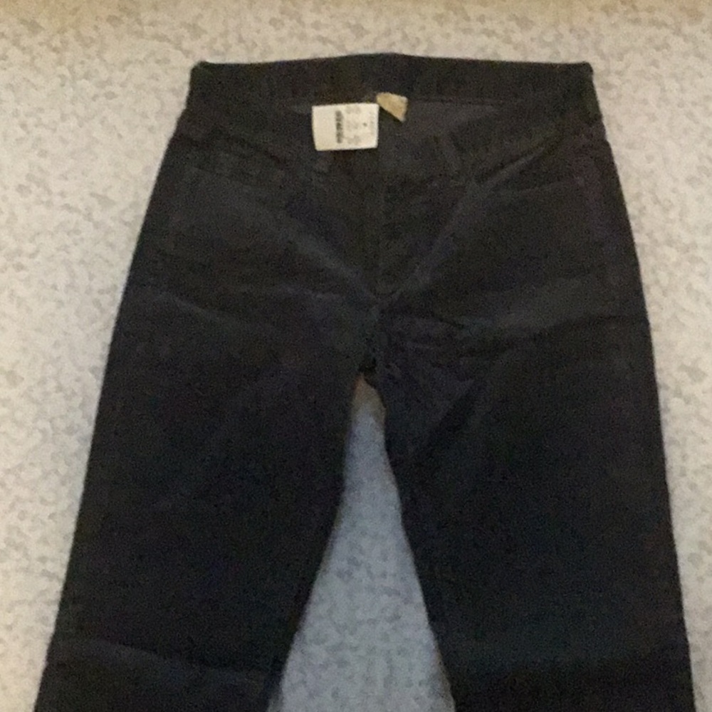 JCrew Corduroy Womens Pants - Size 27Short